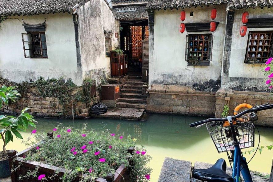 成都“共享猫咪”9块9一天,宠物换来换去,你能接受吗?-智慧问答网,轻松解答你的疑惑